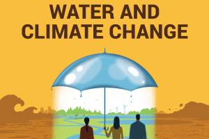 World Water Development Report
