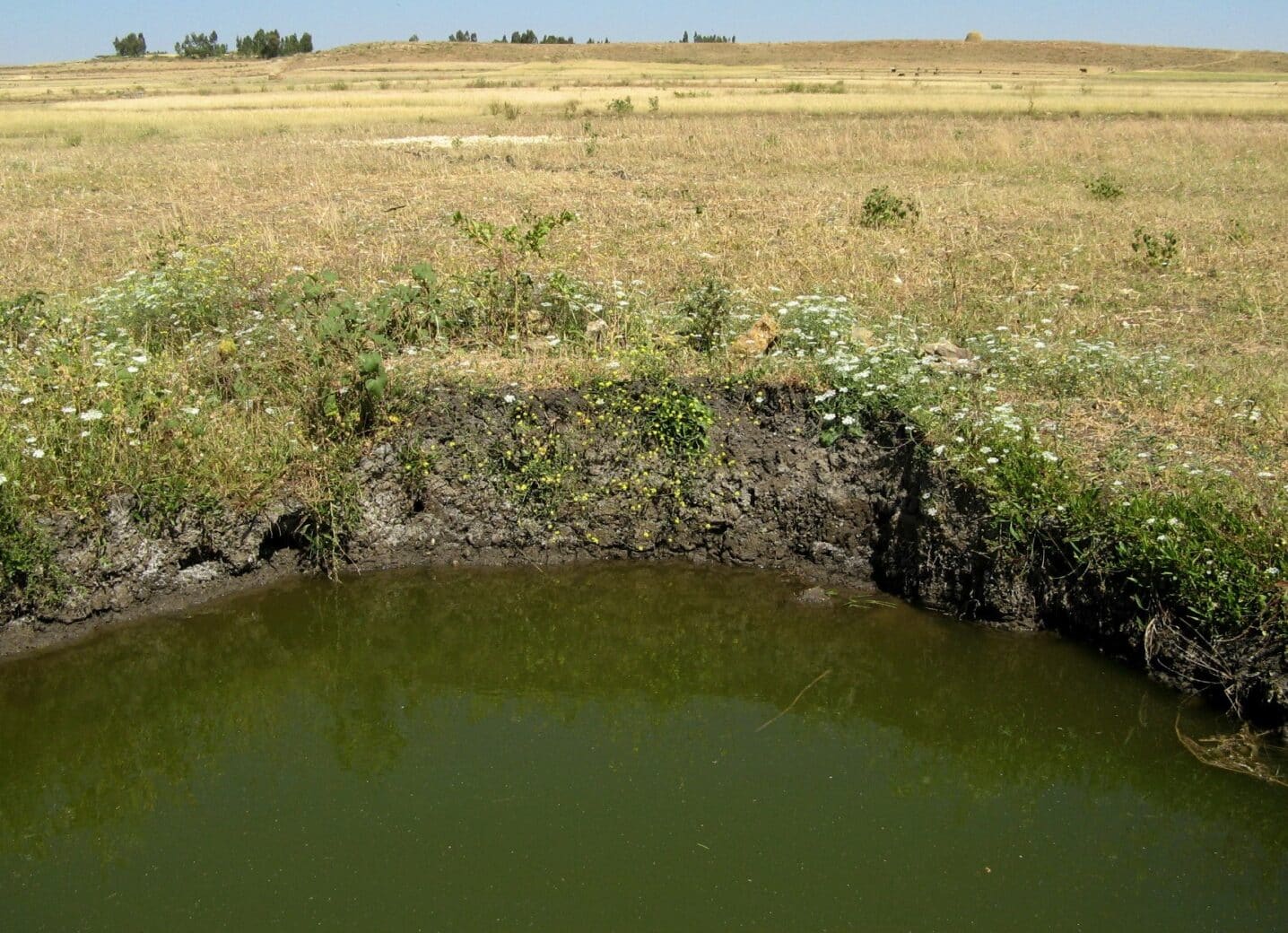 research papers on groundwater